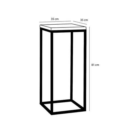 Oskar Plantentafel - L35 x B35 x H81 cm - Hout, Metaal - Zwart